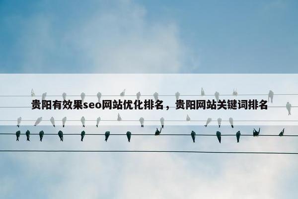 贵阳有效果seo网站优化排名，贵阳网站关键词排名