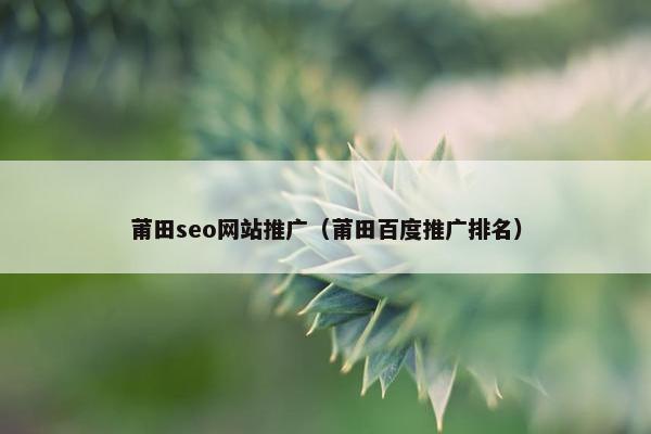 莆田seo网站推广（莆田百度推广排名）