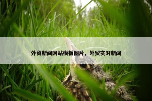 外贸新闻网站模板图片，外贸实时新闻