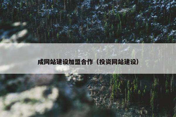 成网站建设加盟合作（投资网站建设）