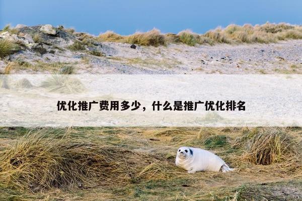优化推广费用多少，什么是推广优化排名