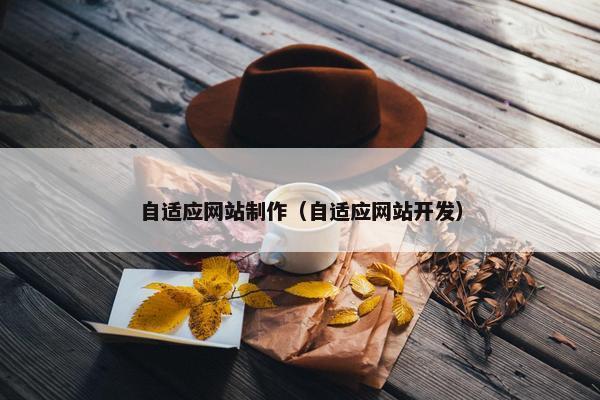 自适应网站制作（自适应网站开发）