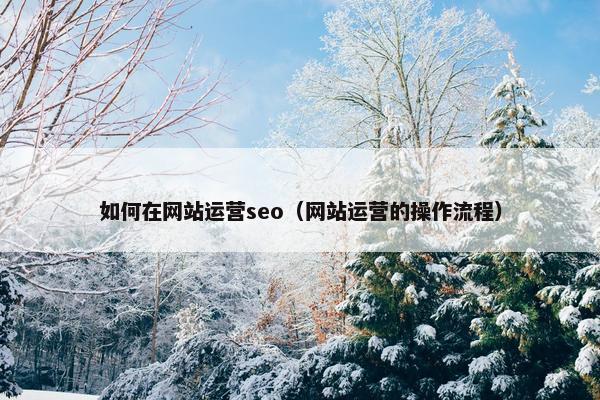 如何在网站运营seo（网站运营的操作流程）