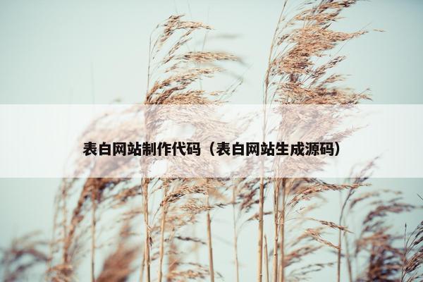表白网站制作代码（表白网站生成源码）