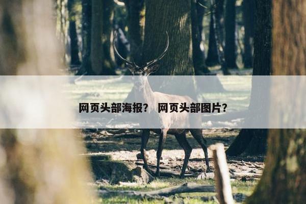 网页头部海报？ 网页头部图片？