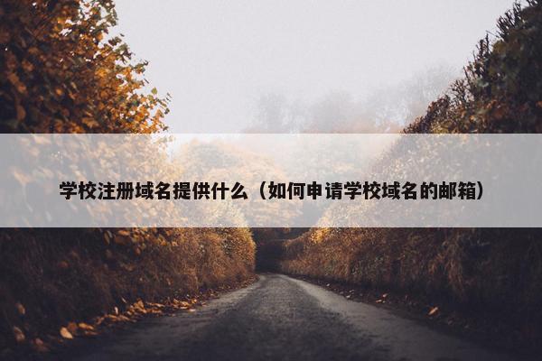 学校注册域名提供什么（如何申请学校域名的邮箱）