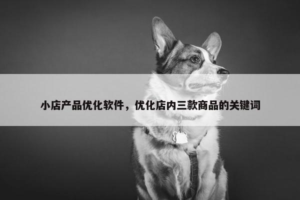 小店产品优化软件，优化店内三款商品的关键词