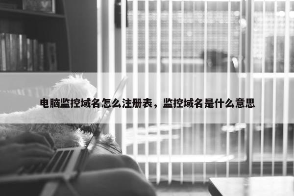 电脑监控域名怎么注册表，监控域名是什么意思