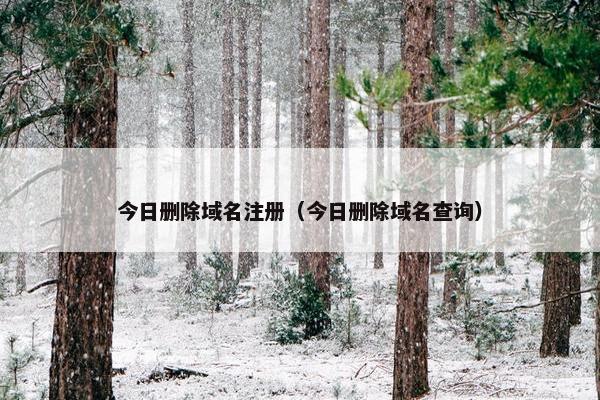 今日删除域名注册（今日删除域名查询）