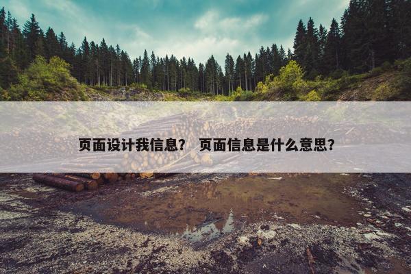 页面设计我信息？ 页面信息是什么意思？
