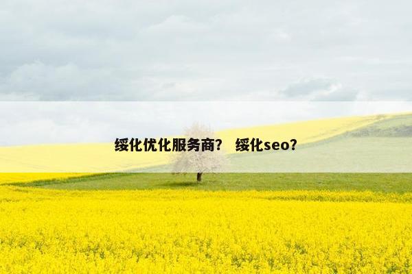 绥化优化服务商？ 绥化seo？