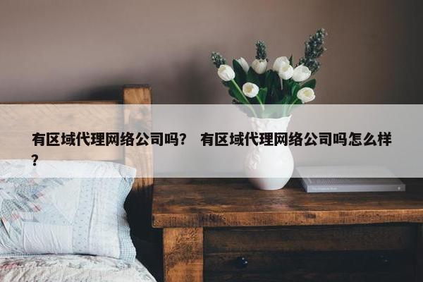 有区域代理网络公司吗？ 有区域代理网络公司吗怎么样？