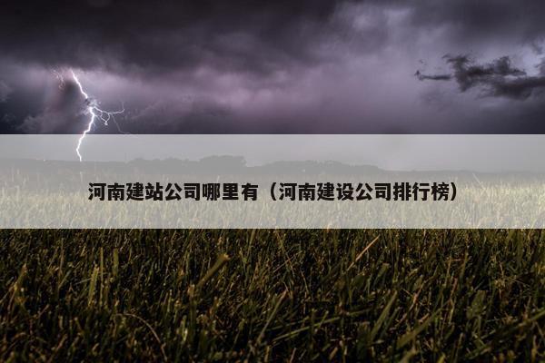 河南建站公司哪里有（河南建设公司排行榜）
