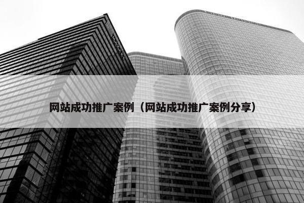 网站成功推广案例（网站成功推广案例分享）