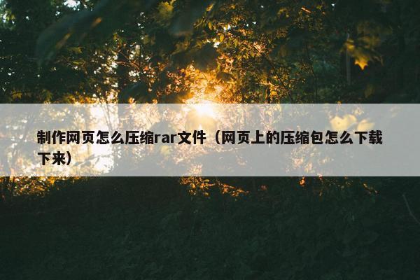 制作网页怎么压缩rar文件（网页上的压缩包怎么下载下来）