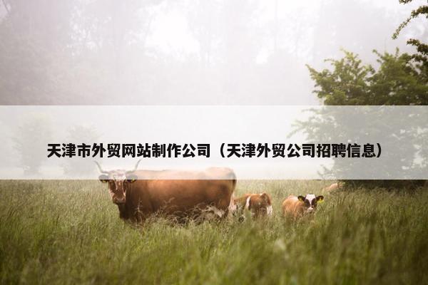 天津市外贸网站制作公司（天津外贸公司招聘信息）