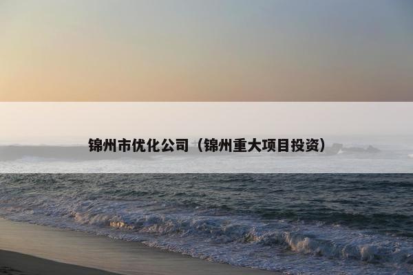 锦州市优化公司（锦州重大项目投资）