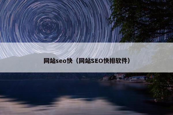 网站seo快（网站SEO快排软件）
