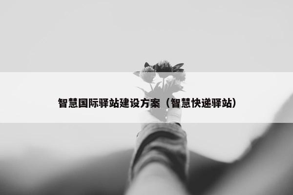 智慧国际驿站建设方案（智慧快递驿站）