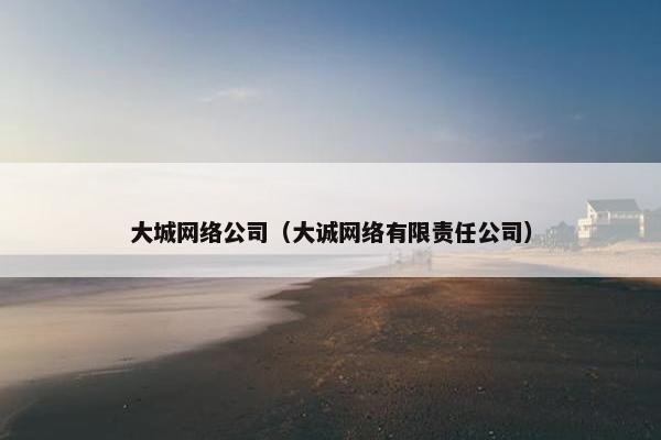 大城网络公司（大诚网络有限责任公司）