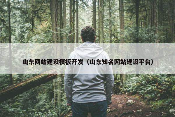 山东网站建设模板开发（山东知名网站建设平台）