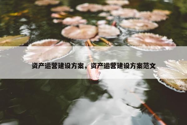 资产运营建设方案，资产运营建设方案范文