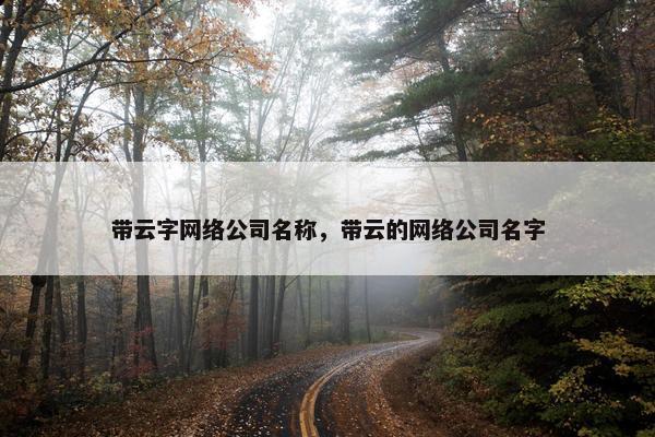 带云字网络公司名称，带云的网络公司名字
