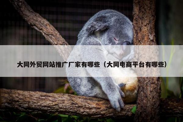大同外贸网站推广厂家有哪些（大同电商平台有哪些）