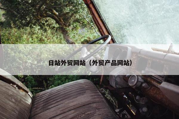 日站外贸网站（外贸产品网站）