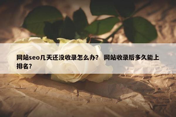网站seo几天还没收录怎么办？ 网站收录后多久能上排名？