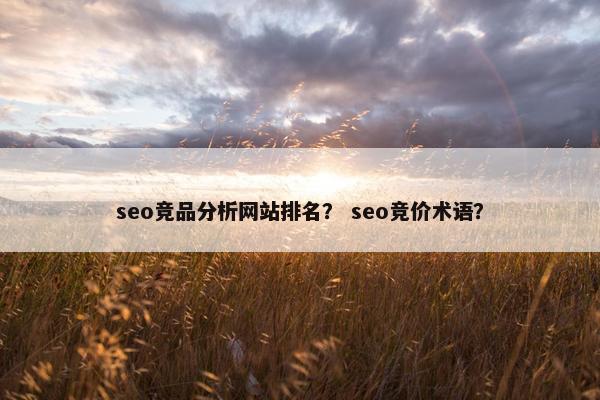 seo竞品分析网站排名？ seo竞价术语？