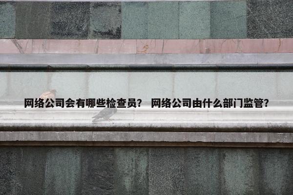 网络公司会有哪些检查员？ 网络公司由什么部门监管？
