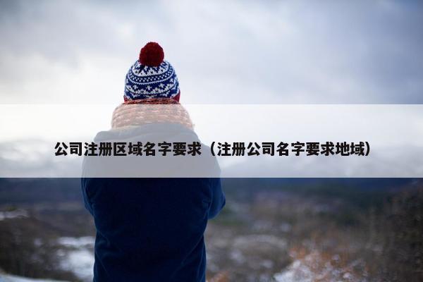 公司注册区域名字要求（注册公司名字要求地域）