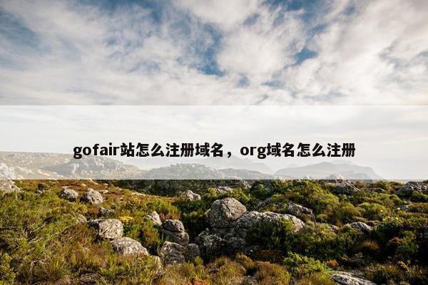 gofair站怎么注册域名，org域名怎么注册
