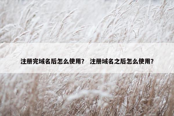 注册完域名后怎么使用？ 注册域名之后怎么使用？