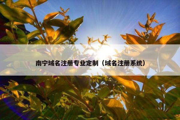 南宁域名注册专业定制（域名注册系统）