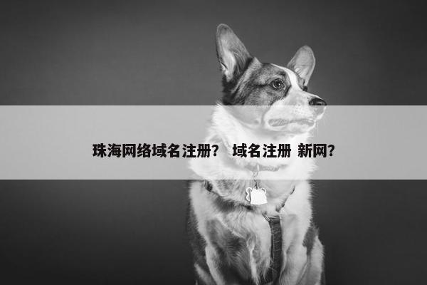 珠海网络域名注册？ 域名注册 新网？