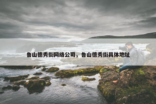 鲁山德秀街网络公司，鲁山德秀街具体地址