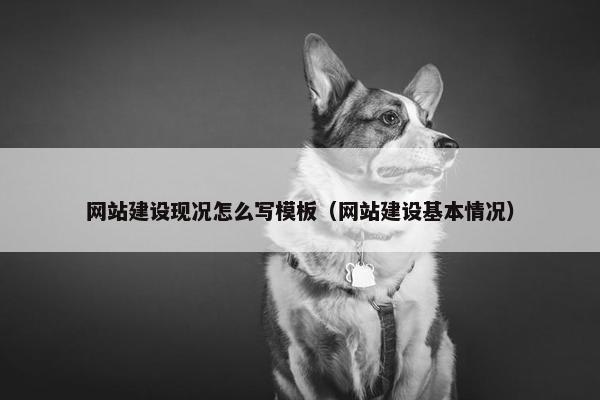 网站建设现况怎么写模板（网站建设基本情况）