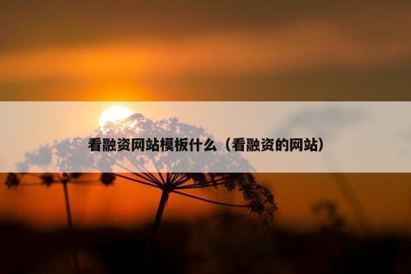 看融资网站模板什么（看融资的网站）