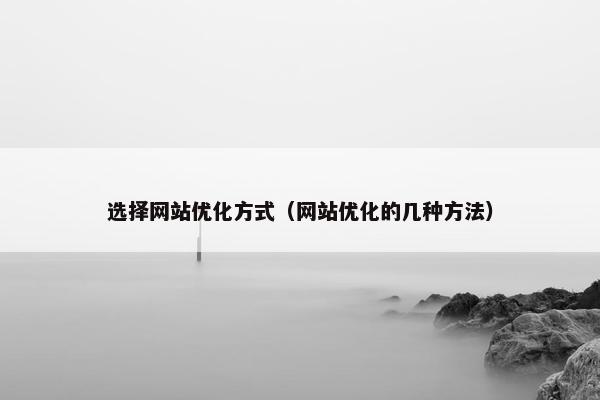 选择网站优化方式（网站优化的几种方法）