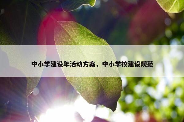 中小学建设年活动方案，中小学校建设规范