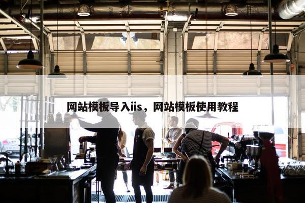 网站模板导入iis，网站模板使用教程
