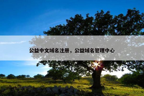 公益中文域名注册，公益域名管理中心