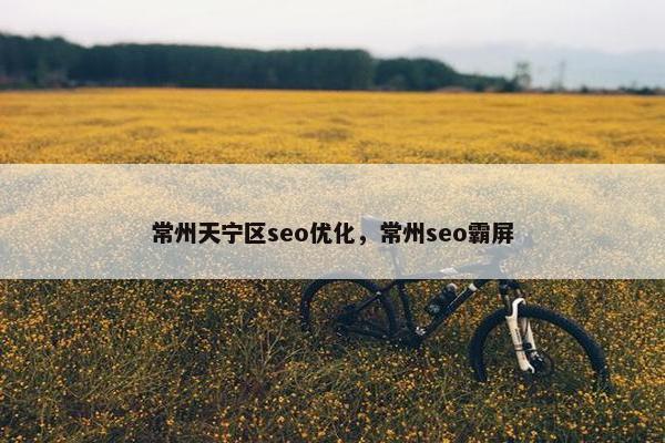 常州天宁区seo优化，常州seo霸屏