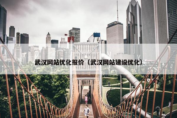 武汉网站优化报价（武汉网站建设优化）