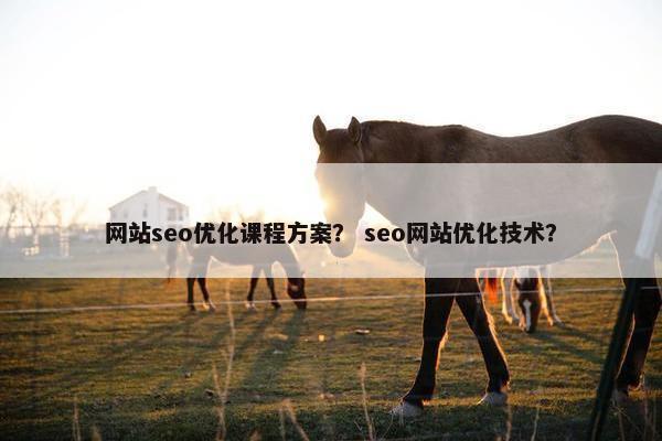 网站seo优化课程方案？ seo网站优化技术？