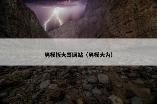 男模板大哥网站（男模大为）