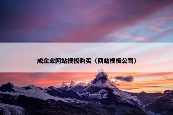 成企业网站模板购买（网站模板公司）