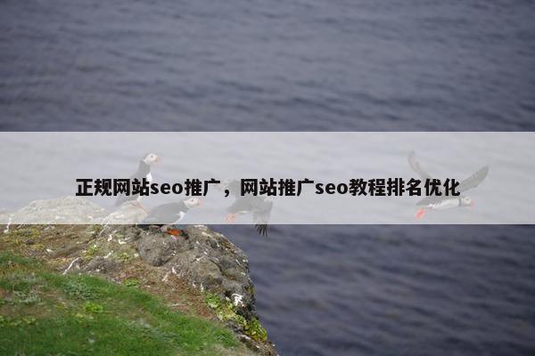 正规网站seo推广，网站推广seo教程排名优化